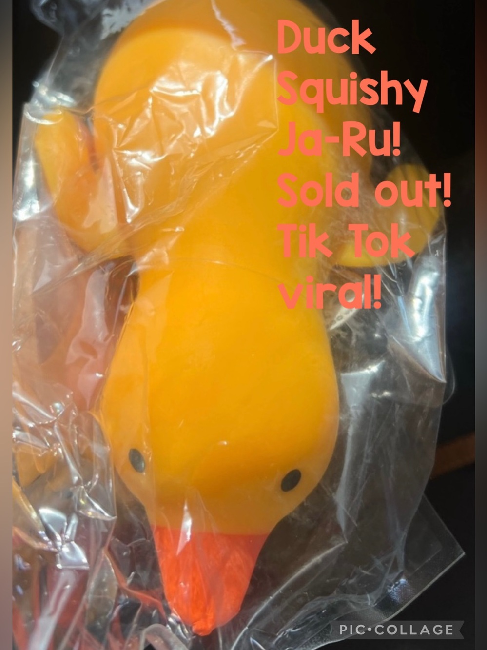 Duck Squishy with tag